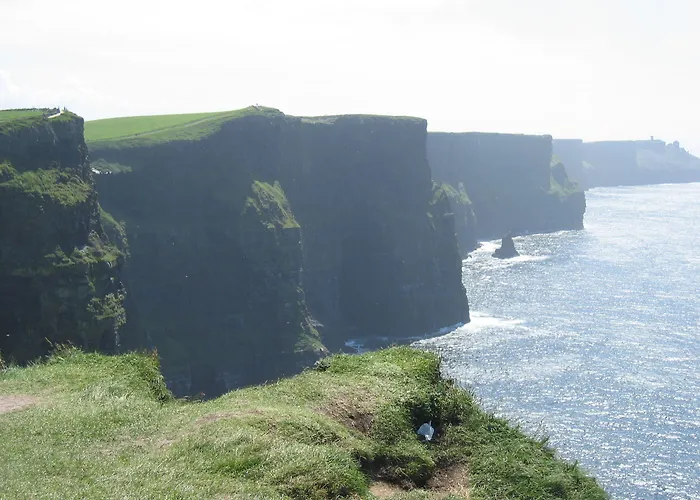 Treacys West County Conference And Leisure Centre Hotel