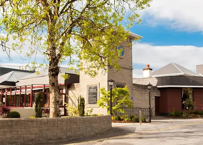 Treacys West County Conference And Leisure Centre 3* Ennis